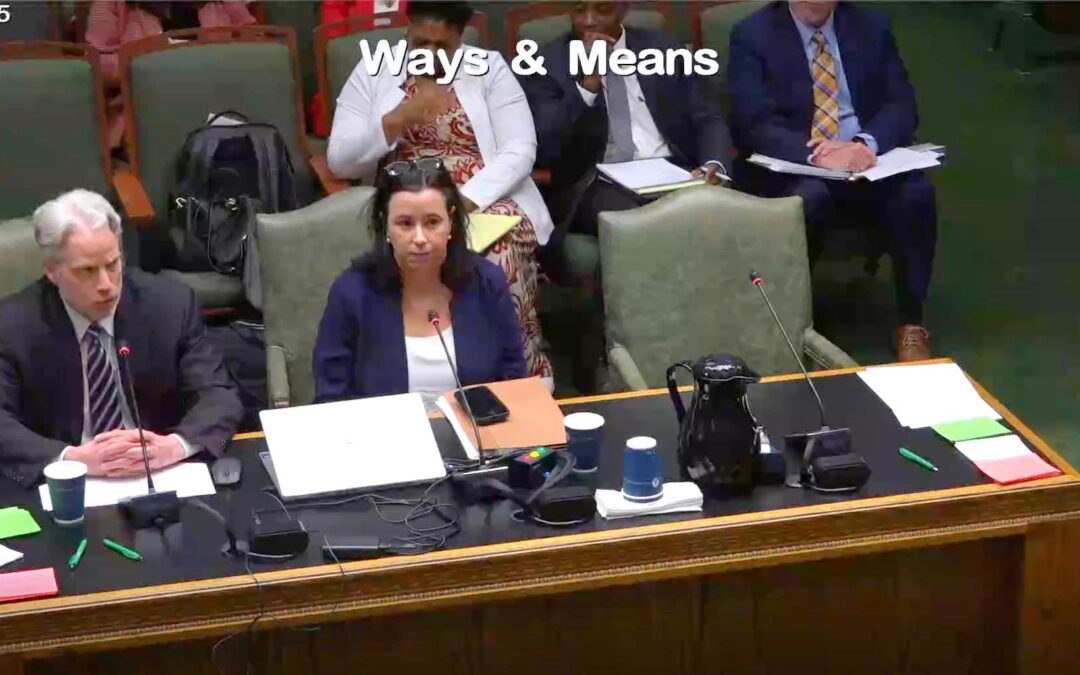 House Ways & Means Committee's Parish E-File Hearing