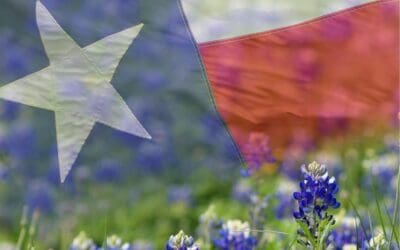 Creating (and Keeping) the Enterprise Zone Program Benefit